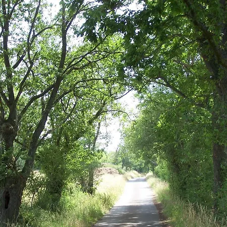 En Auvergne